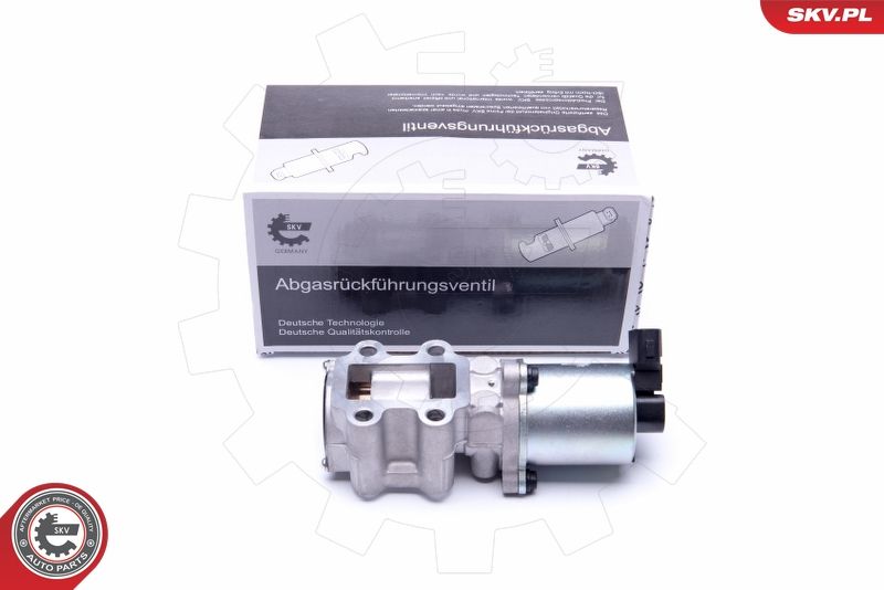 AGR-Ventil ESEN SKV 14SKV200