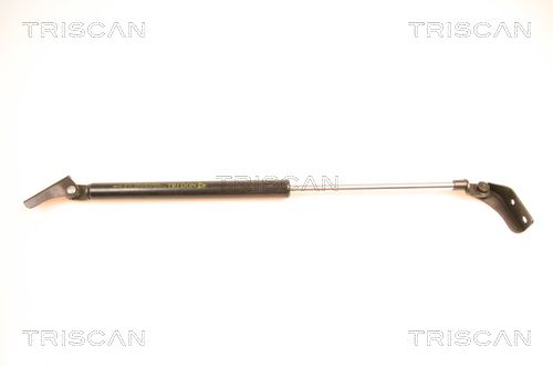 Heckklappendämpfer TRISCAN 8710 50232