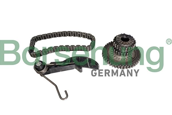 Steuerkettensatz BORSEHUNG B10218