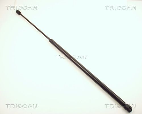 Heckklappendämpfer TRISCAN 8710 2428