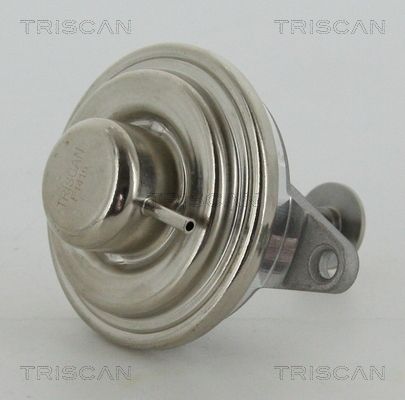 AGR-Ventil TRISCAN 881324054