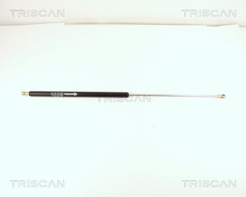 Heckklappendämpfer TRISCAN 8710 15210