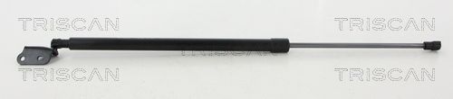 Heckklappendämpfer TRISCAN 8710 50259
