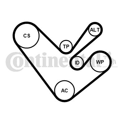 Keilrippenriemensatz CONTINENTAL CTAM 6PK1555K4