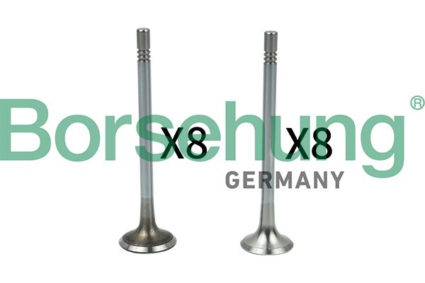 Ventilsatz, Einlass-/Auslassventil BORSEHUNG B18628