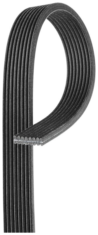 Keilrippenriemen GATES 8DPK1630HD