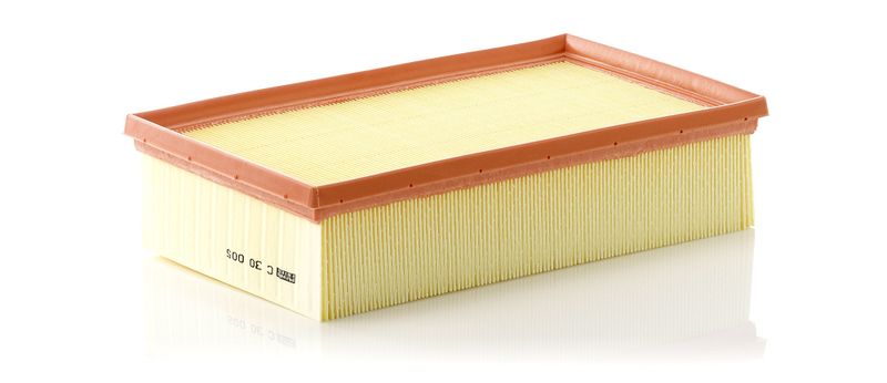 Luftfilter MANN-FILTER c 30 005