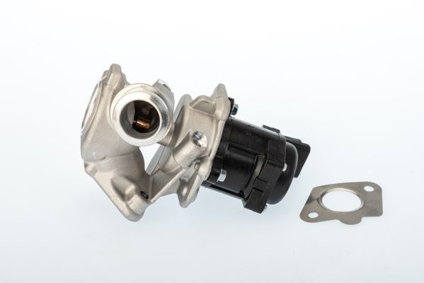 AGR-Ventil BorgWarner 711020D