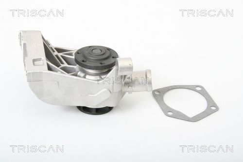Wasserpumpe TRISCAN 8600 29036