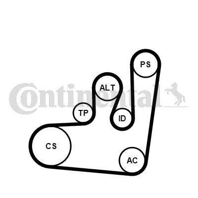 Keilrippenriemensatz CONTINENTAL CTAM 6PK1145K1
