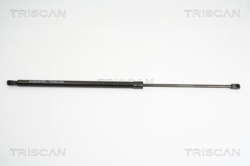 Heckklappendämpfer TRISCAN 8710 29273