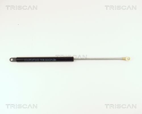 Heckklappendämpfer TRISCAN 8710 15214