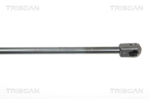Heckklappendämpfer TRISCAN 8710 25244