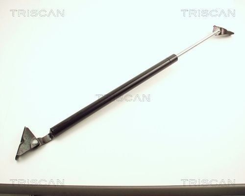 Heckklappendämpfer TRISCAN 8710 13240