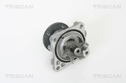 Wasserpumpe TRISCAN 8600 42016