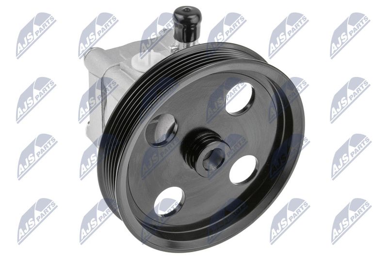 Hydraulikpumpe, Lenkung NTY SPW-VV-003