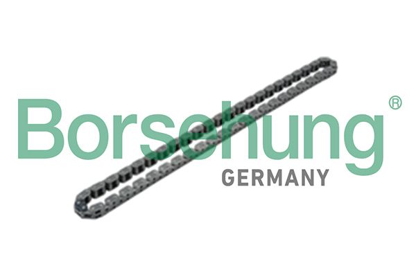 Kette, Ölpumpenantrieb BORSEHUNG B17905