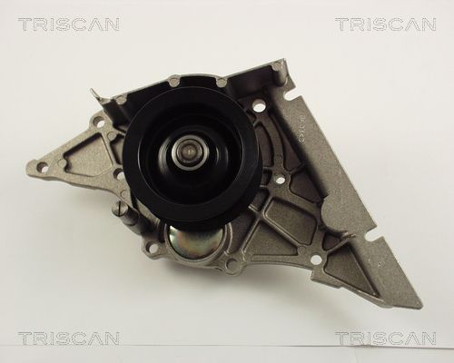 Wasserpumpe TRISCAN 8600 29028