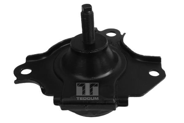Lagerung, Motor TEDGUM 00262046