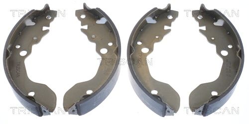 Bremsbackensatz TRISCAN 8100 69007
