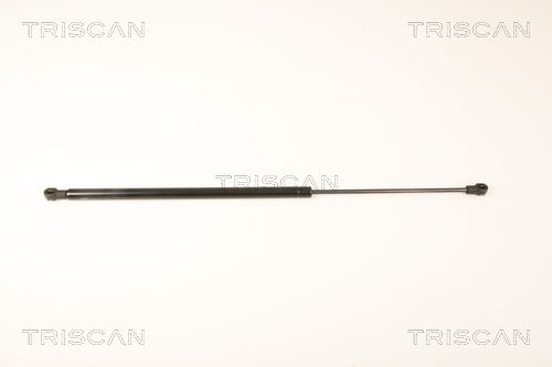Gasfeder Heckscheibe TRISCAN 8710 25248