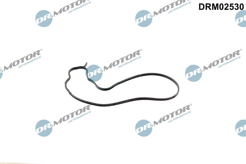 Dichtung Wasserpumpe Dr.Motor Automotive DRM02530