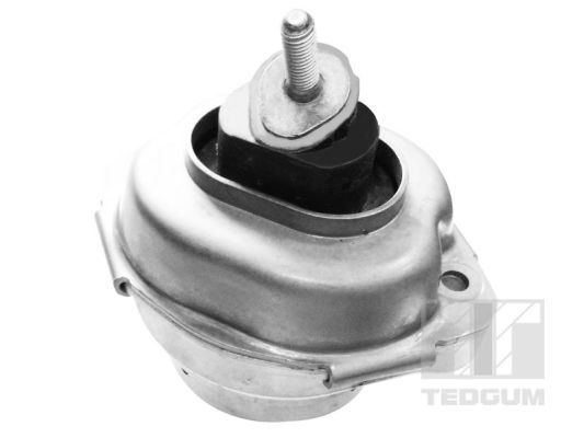 Lagerung, Motor TEDGUM 00088466