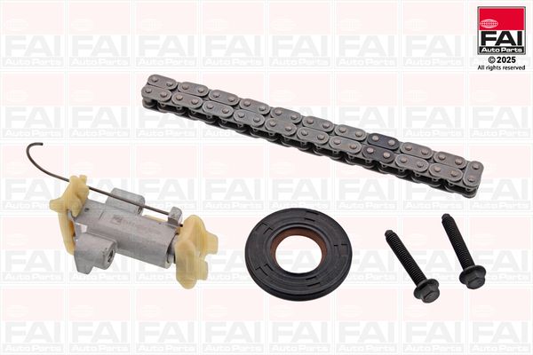 Steuerkettensatz FAI AutoParts TCK487
