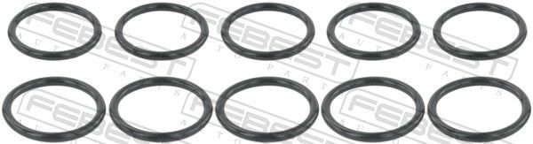 Dichtung, Kühlmittelflansch FEBEST RINGWH-018-PCS10
