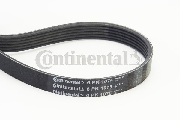 Keilrippenriemen CONTINENTAL CTAM 6PK1075