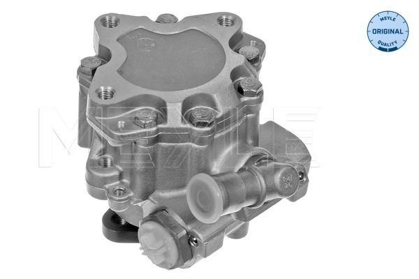 Pump, styrservo MEYLE 114 631 0018