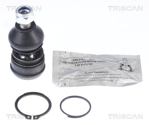 Trag-/Führungsgelenk TRISCAN 850042561