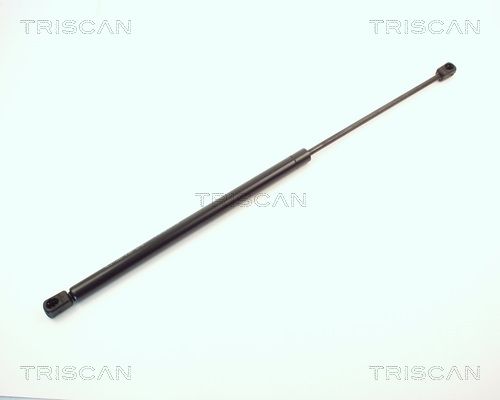 Heckklappendämpfer TRISCAN 8710 1610