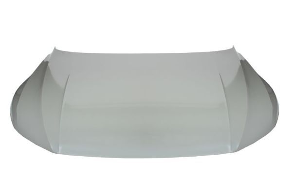 Motorhaube BLIC 6803-00-9566280P