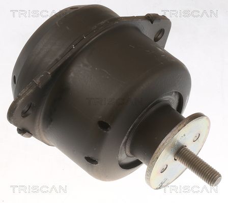 Motorlager TRISCAN 8505 65103
