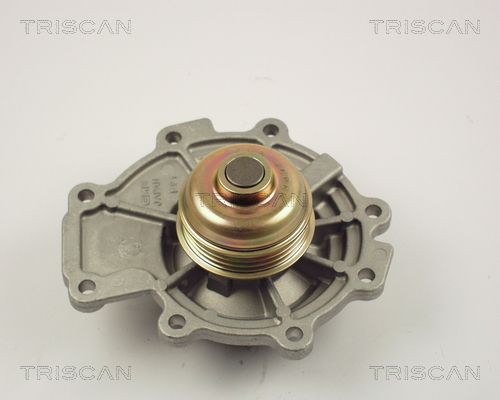 Wasserpumpe TRISCAN 8600 16011