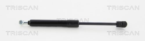 Heckklappendämpfer TRISCAN 8710 292008