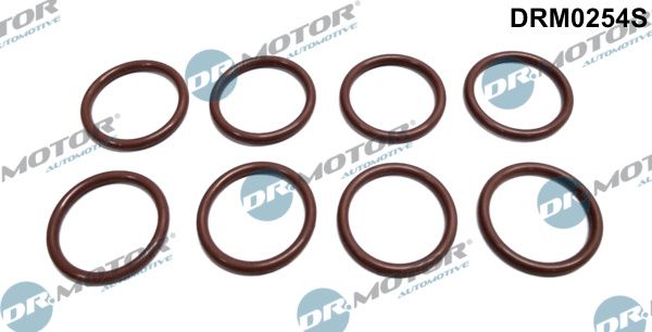 Dichtring, Düsenhalter Dr.Motor Automotive drm0254s