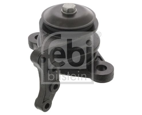 Lagerung, Motor FEBI BILSTEIN 46784