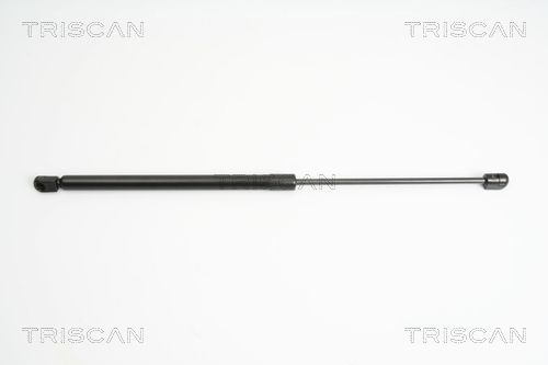 Heckklappendämpfer TRISCAN 8710 16249