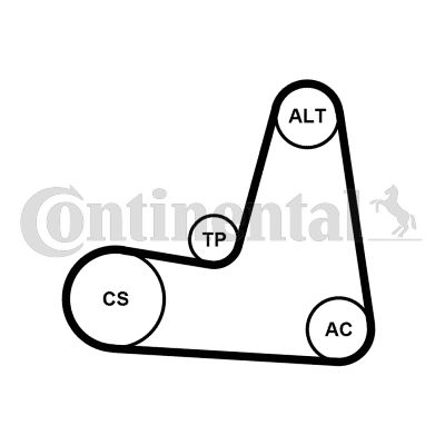 Keilrippenriemensatz CONTINENTAL CTAM 6pk1130k2