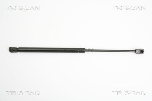 Heckklappendämpfer TRISCAN 8710 42236