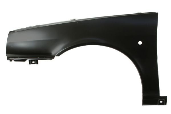 Kotflügel BLIC 6504-04-2025311P