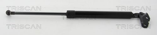 Heckklappendämpfer TRISCAN 8710 13291