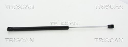 Gasfeder Heckscheibe TRISCAN 8710 18231
