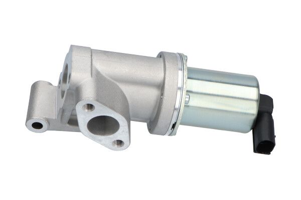 AGR-Ventil KAVO PARTS EEG-3006
