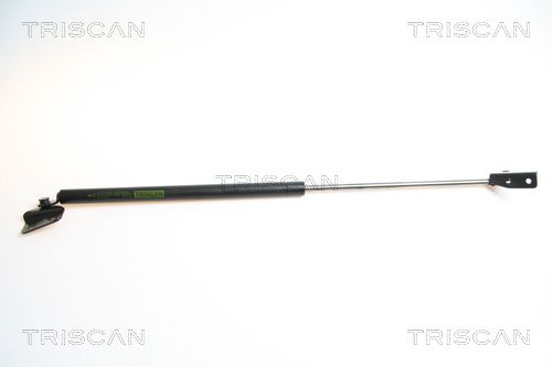 Heckklappendämpfer TRISCAN 8710 69211