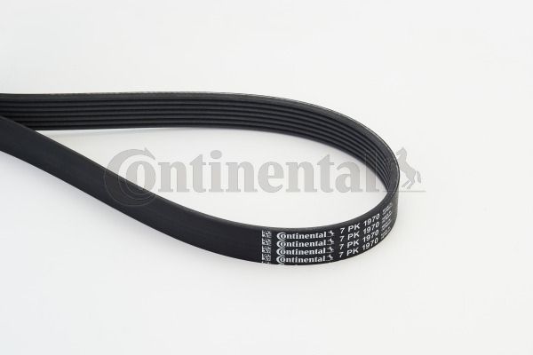 Keilrippenriemen CONTINENTAL CTAM 7PK1970