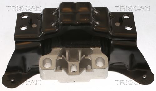 Motorlager TRISCAN 8505 29193