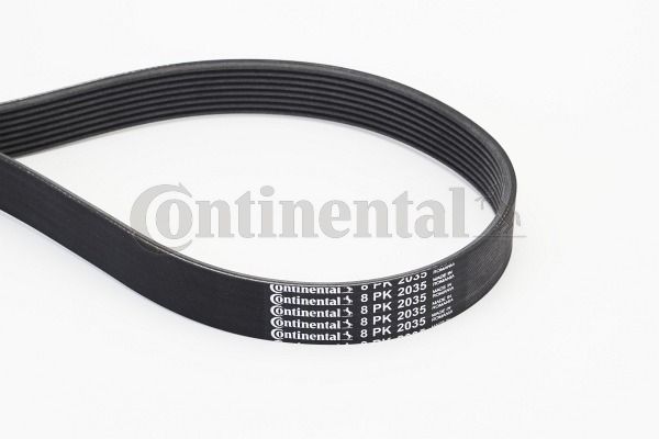 Keilrippenriemen CONTINENTAL CTAM 8PK2035